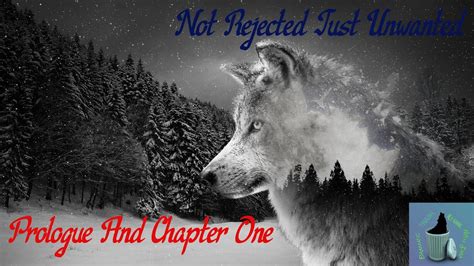 He looked at me with pity swirling in the rich brown orbs he calls eyes "I know it's not fair to you. . Not rejected just unwanted chapter 1 read online